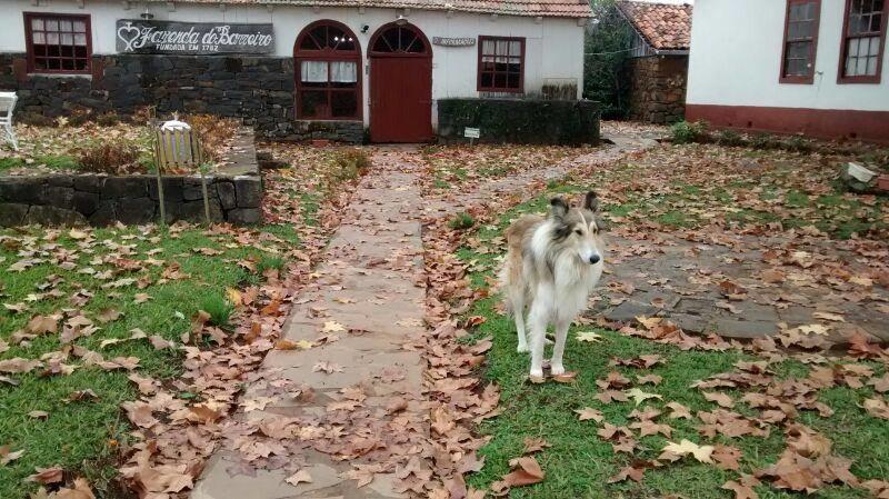 Отель Fazenda Do Barreiro Урупема Экстерьер фото